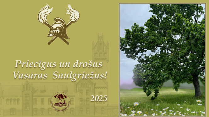 Attēla   salapojis ozols